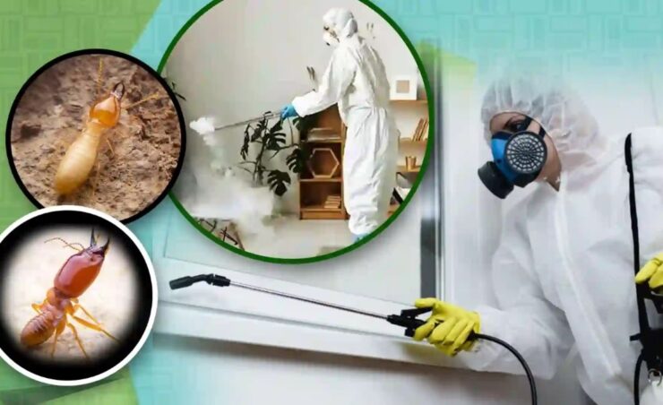 Parth Pest Solution COntact Us